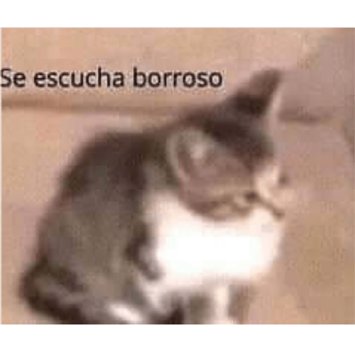 Memes#4 10