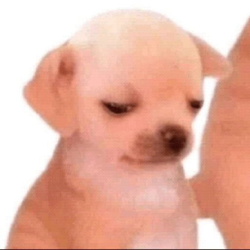 Memes#4 29