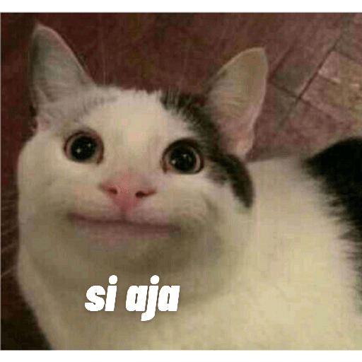 Memes#4 3