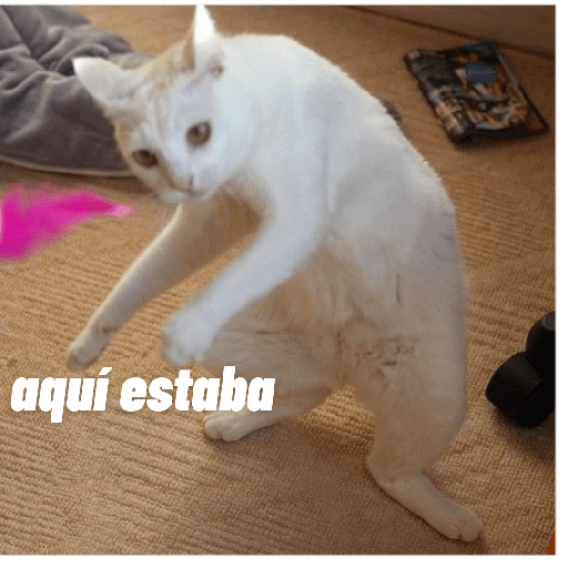 Memes#4 5