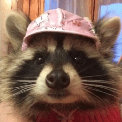 Mapaches 20