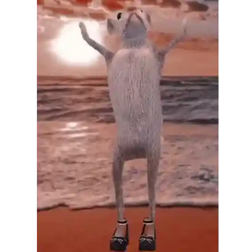 Shitpost animado 🥵🤙 16