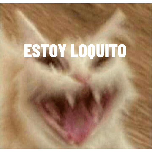 Gatos memes 🐱 5