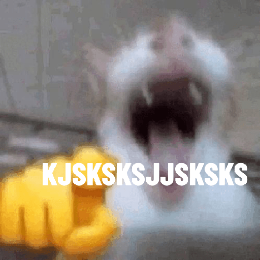 Gatos memes 🐱 4