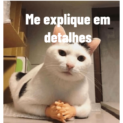 Gatos memes 🐱 3
