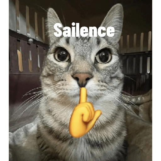 Gatos memes 🐱 1