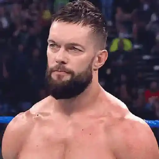 .✦  Finn  Balor˖ 2