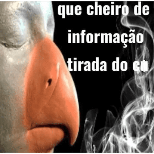 Ele tem uns ovao 6