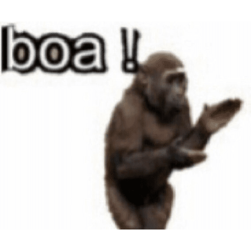 Ele tem uns ovao 4