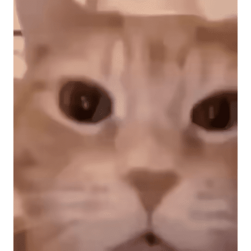 Annieleonhart 11