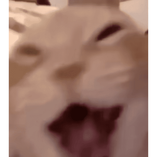 Annieleonhart 12