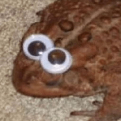 🐸 Ranitas Random 🐸 1