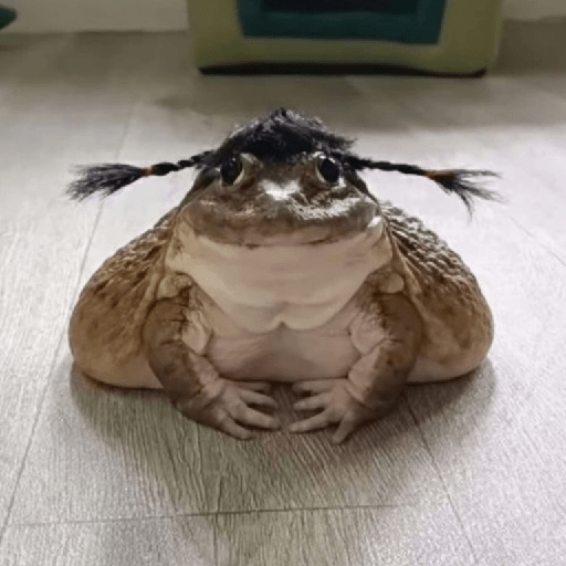 🐸 Ranitas Random 🐸 2