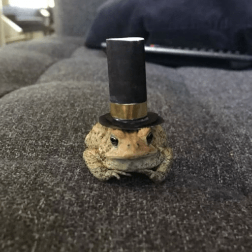 🐸 Ranitas Random 🐸 5