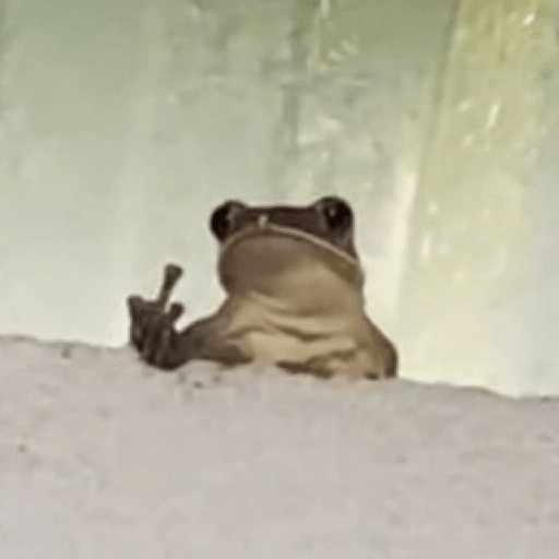 🐸 Ranitas Random 🐸 11