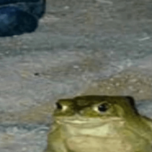 🐸 Ranitas Random 🐸 13