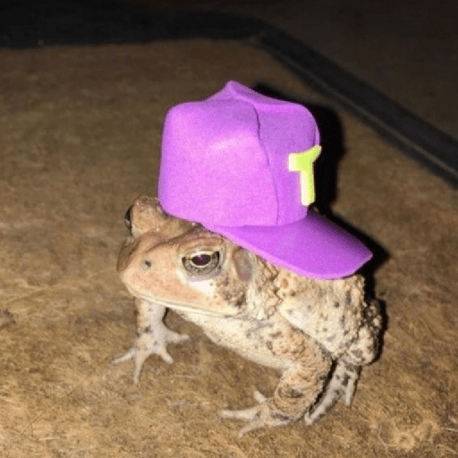 🐸 Ranitas Random 🐸 14