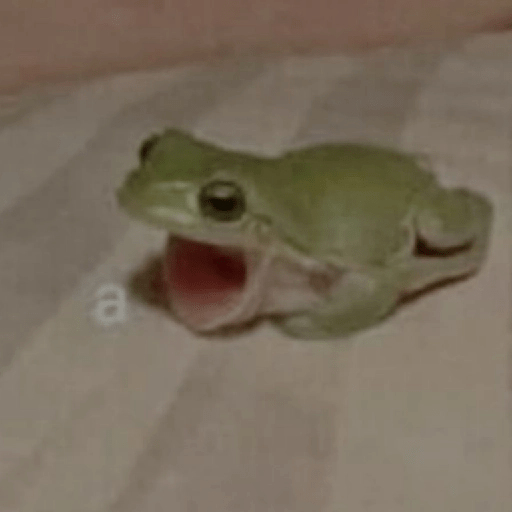 🐸 Ranitas Random 🐸 17
