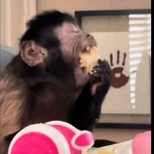 🐒MONITOS Random #2🐒 7