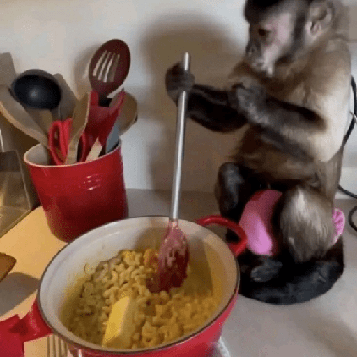 🐒MONITOS Random #2🐒 8