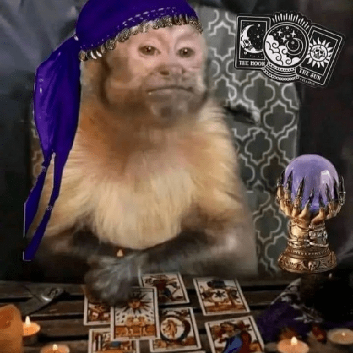 🐒MONITOS Random #2🐒 9