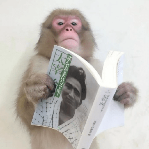 🐒MONITOS Random #2🐒 11