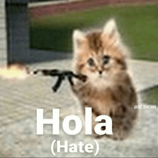 Hola Odio