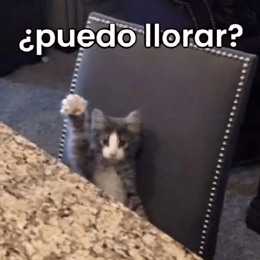 Reacciones de Todo un Poco #4 11