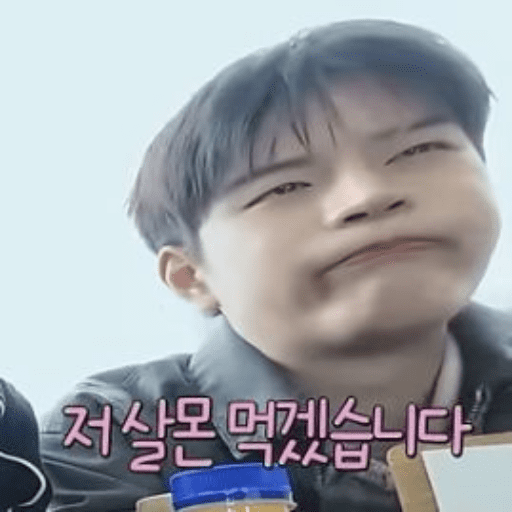 🐶   . ࣪꒰ Seungmin ꒱. ꉂ(≧▽≦)