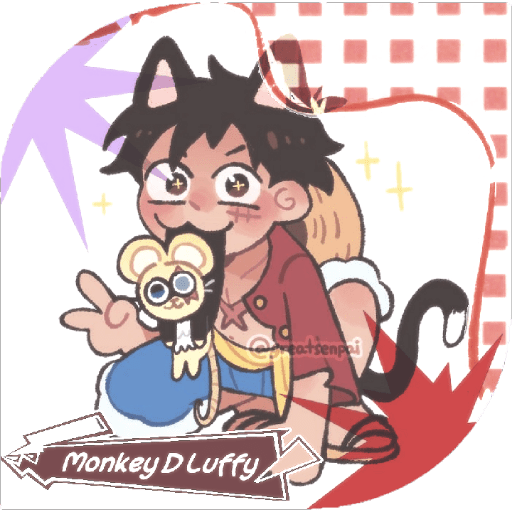 .𖥔 ݁ ˖╭ ┆LUFFY CAT╰⊹ 10