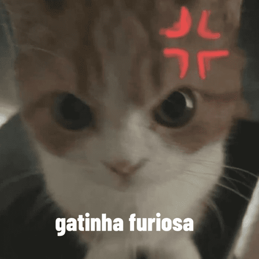 Gatinha 7