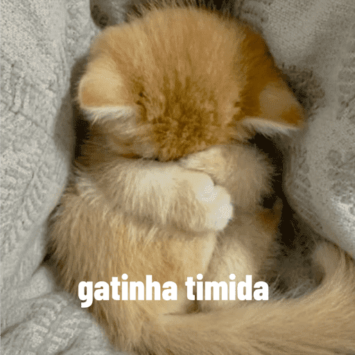Gatinha 8