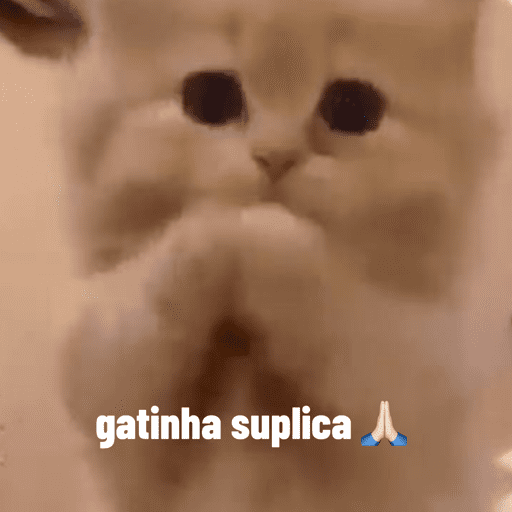 Gatinha 4