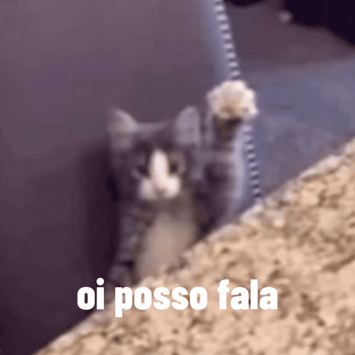 Gatinha 5