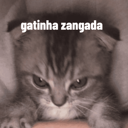 Gatinha 2