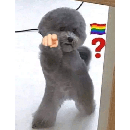 Ponlesalsa Shitpost 19