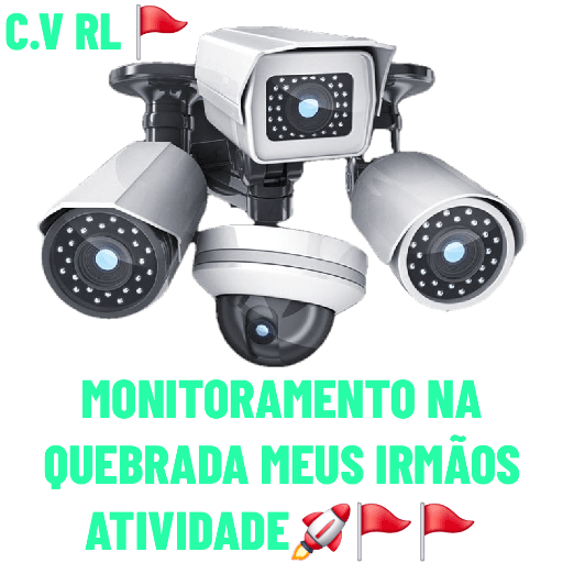 Minhas figurinhas 13