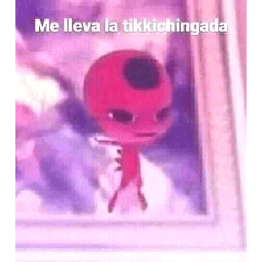 Zorra 28