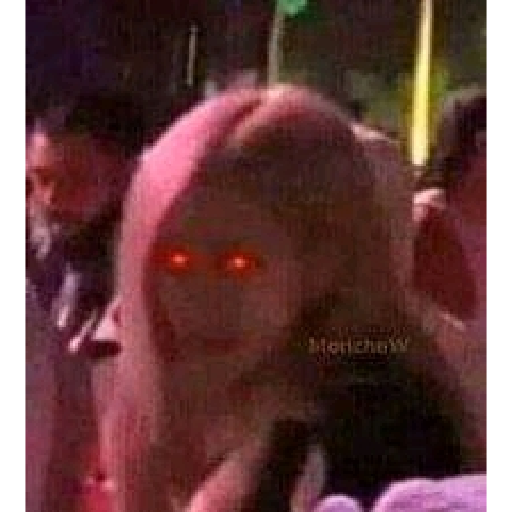 Zorra 5