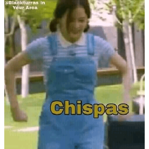 Zorra 15