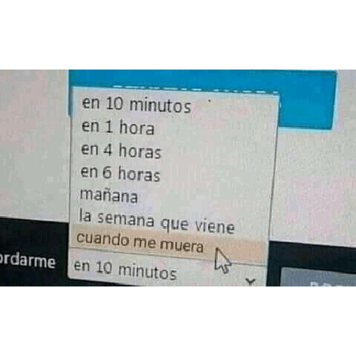 Zorra 9