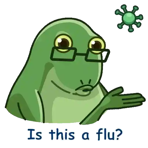 Frog 24