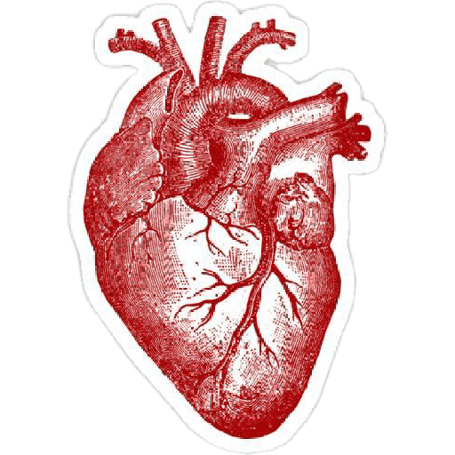 Stikers bonitos para fts 14