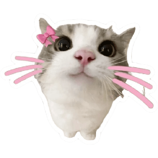Stikers bonitos para fts 3
