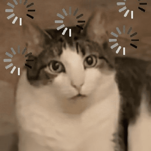 Gatitos 6
