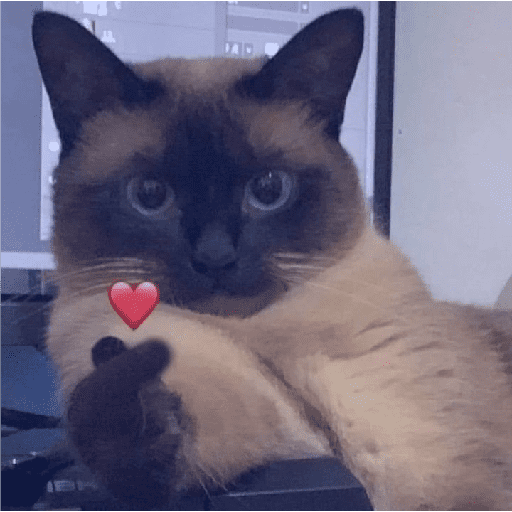 Gatitos 4