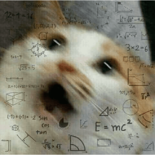 Gatitos 25