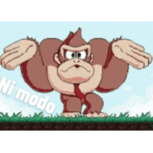 Donkey Kong 12