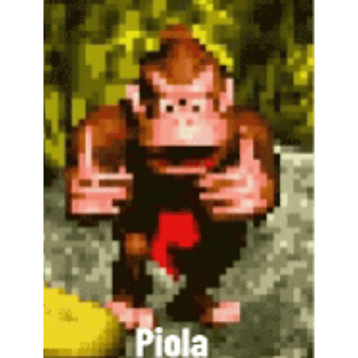 Donkey Kong 19