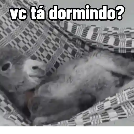 KKKKKK AS TOPS 9